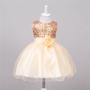 Baby Sequin Flower Dress